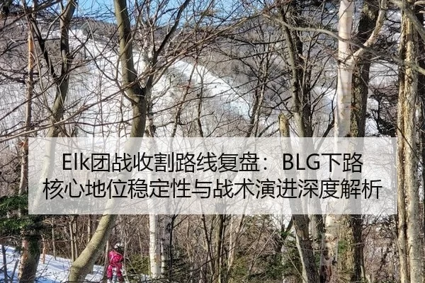 Elk团战收割路线复盘：BLG下路核心地位稳定性与战术演进深度解析