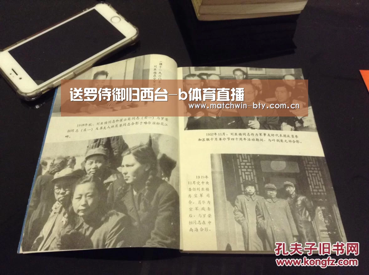 送罗侍御归西台-b体育直播