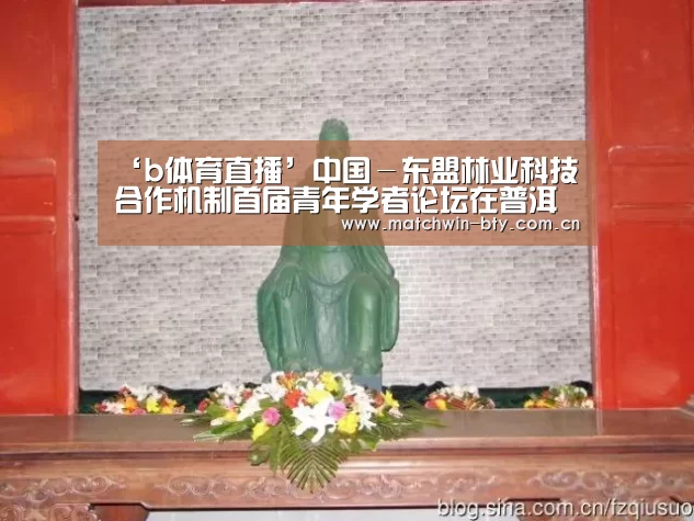 b体育官网