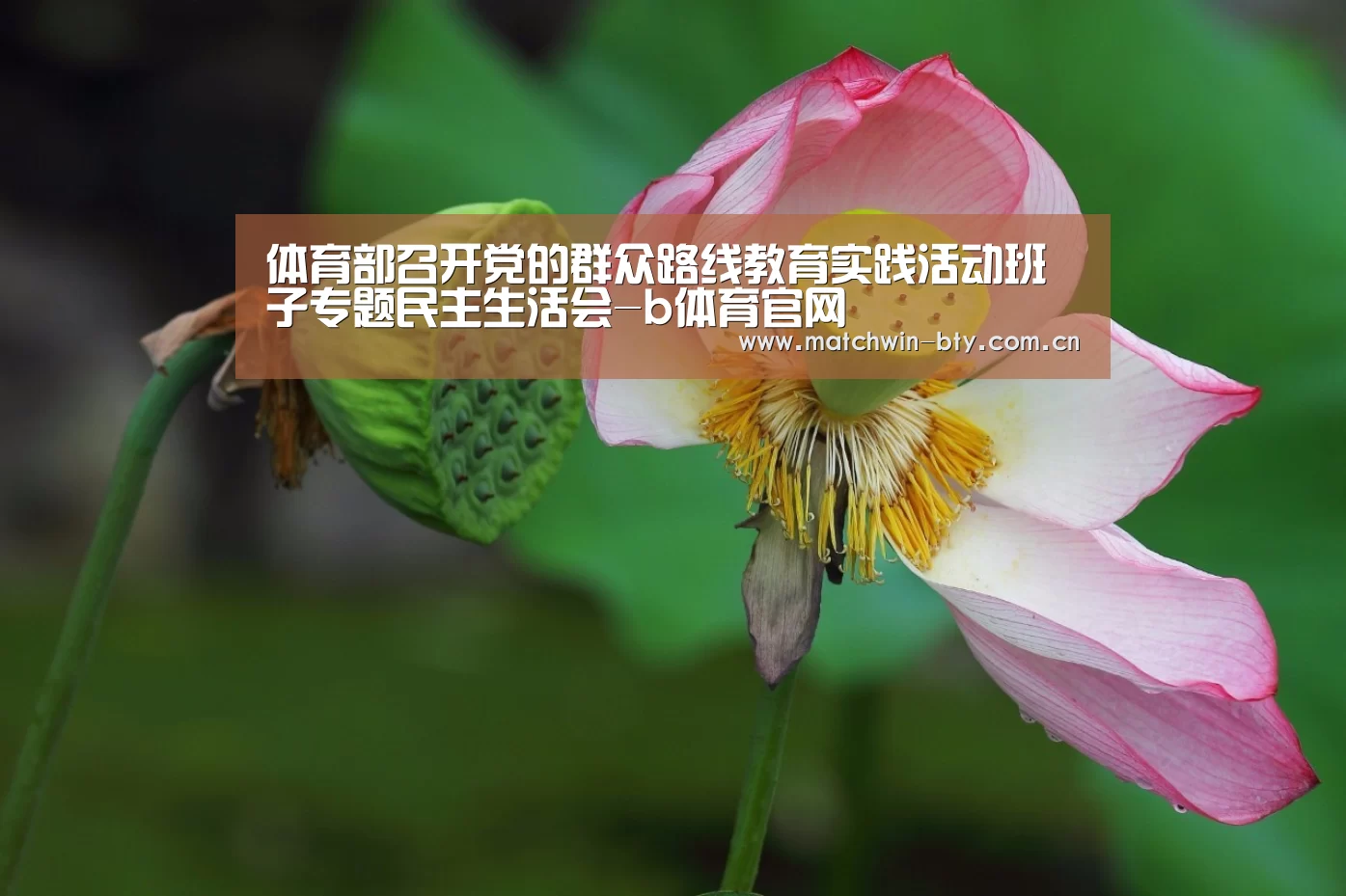 体育部召开党的群众路线教育实践活动班子专题民主生活会-b体育官网(图4) b体育直播