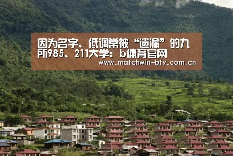 因为名字、低调常被“遗漏”的九所985、211大学:b体育官网(图2) b体育官网