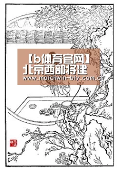 b体育直播