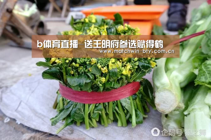 b体育直播-送王明府参选赋得鹤(图3) b体育直播
